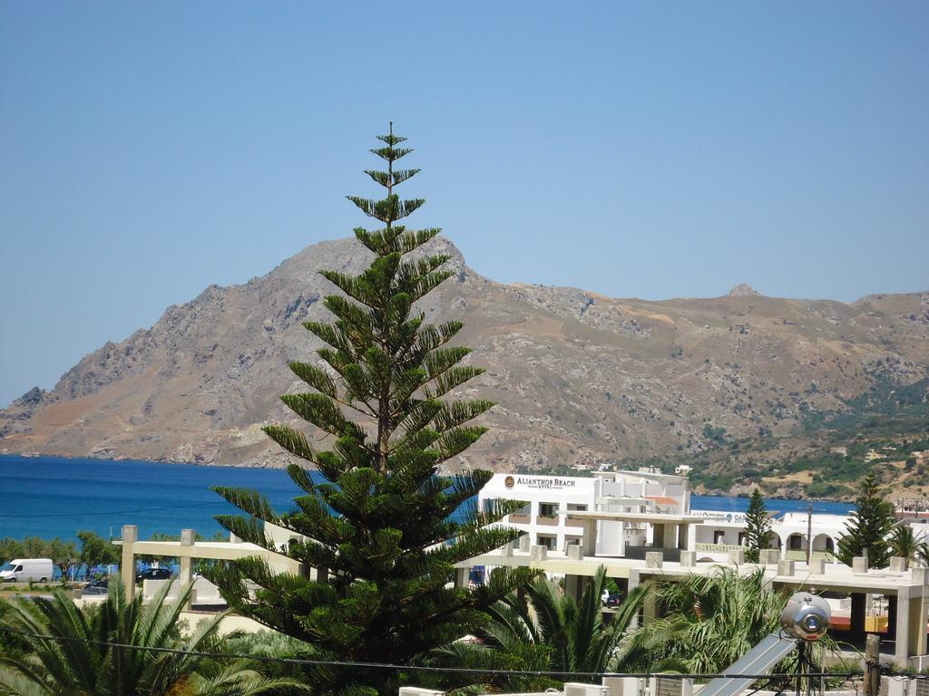Anemoni Studios Plakias Exterior photo